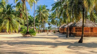 Funky Far Nest Tropical Resort