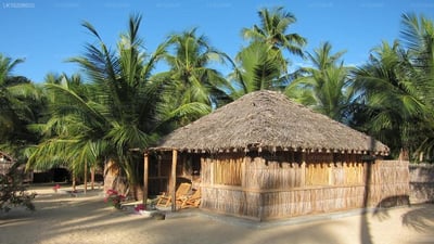 Funky Far Nest Tropical Resort