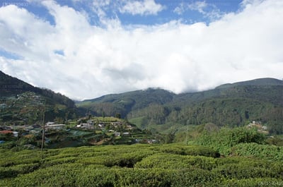 HW Holiday Resort