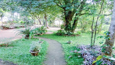 Sigiri Neo Homestay