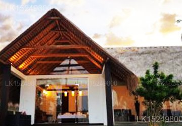 Blue Whale Resort