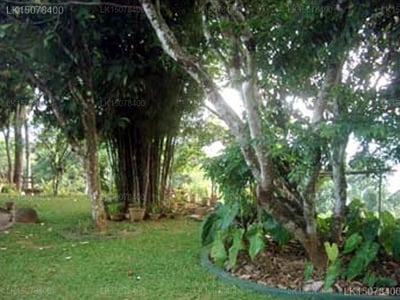 Sama Uyana Holiday Bungalow