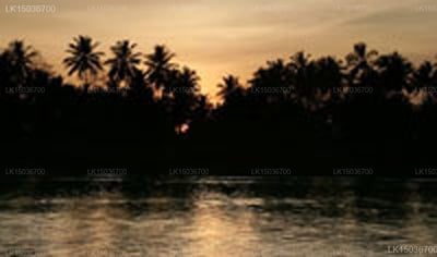 Ganga Garden