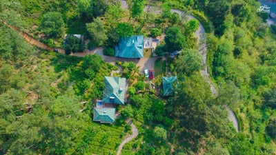 The Tea Cottage Resort