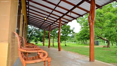 Forest Lodge