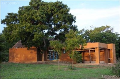 Back of beyond - Wellness Retreat