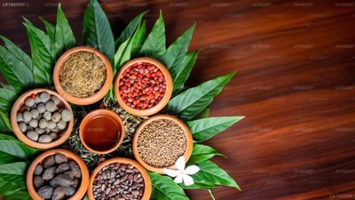 Celestia Ayurveda Resort