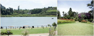 Camellia Lake Resort
