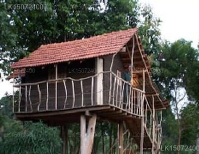 Eagle's Wings Guest House