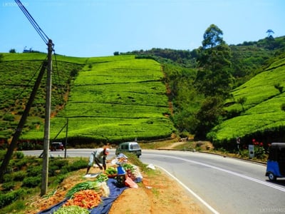 HW Holiday Resort