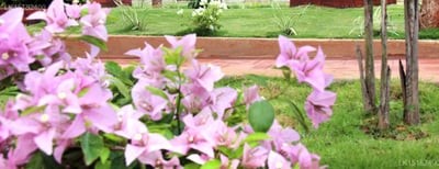 Avasta Resort & Spa