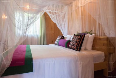 Purple Coot Ayurveda Retreat