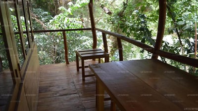Villa Kumbuk Tree House
