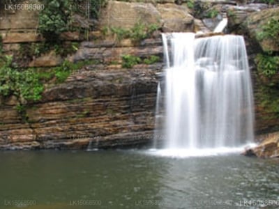 Waterfalls Cottage  Dunsinane