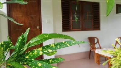 Palm Garden Guest House