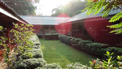 The Village
