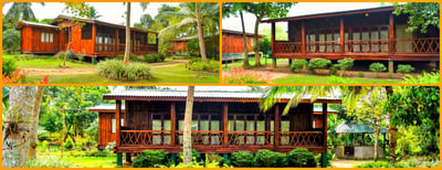 Purple Coot Ayurveda Retreat