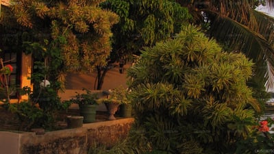 Ganga Garden