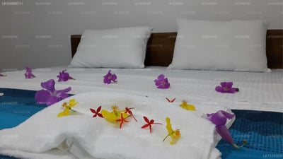 Mansala Safari House