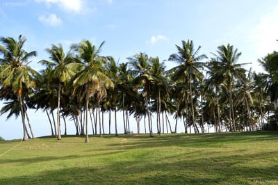 Ocean Cottage Kalametiya by Everton Holidays