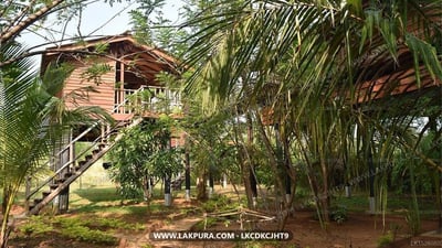 Sarilco Rock View Treehouse