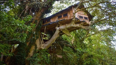 Villa Kumbuk Tree House