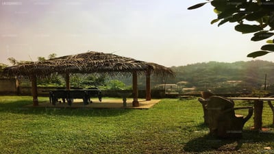 Green Grass Hostel
