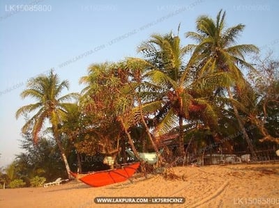 Patini Bungalows