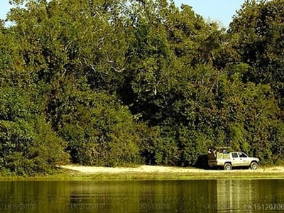 Kulu Safari - Wilpattu