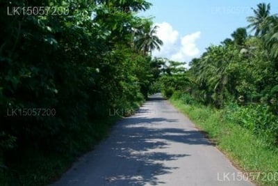 OYO 520 Villa Palma Beach Resort