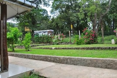 Ran Hiru Family Bungalow