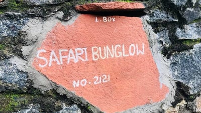 Udawalawe Safari Bungalow