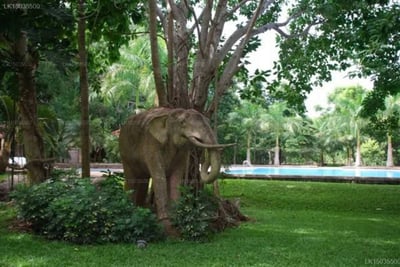 Palm Garden Village Hotel