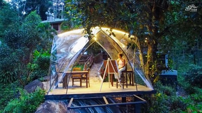 The Tea Cottage Resort
