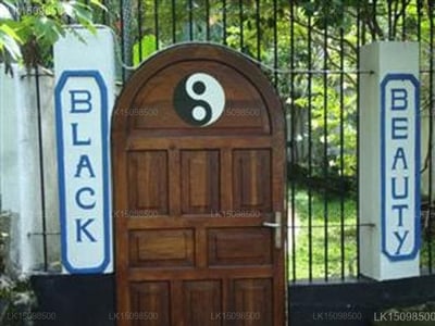 Black Beauty Guesthouse