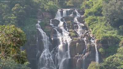 Waterfalls Homestay Guesthouse