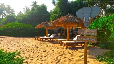 Sleeping Elephant Beach Resort