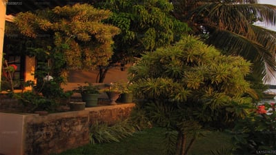 Ganga Garden