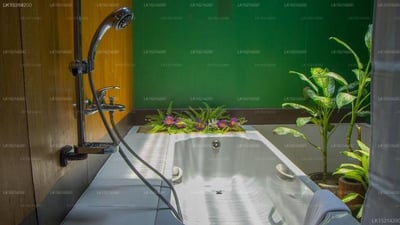 Purple Coot Ayurveda Retreat