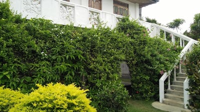 Nilaveli Palm House