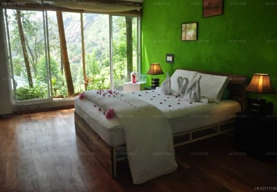 The Tea Cottage Resort