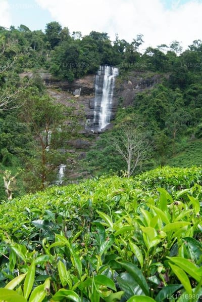 Taprospa Labookellie Villa