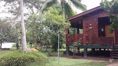 Purple Coot Ayurveda Retreat