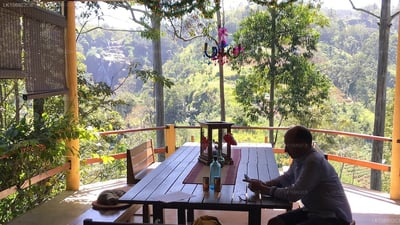 Waterfalls Homestay Guesthouse