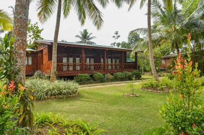 Purple Coot Ayurveda Retreat