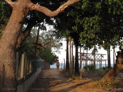 Arugambay Beach Resort