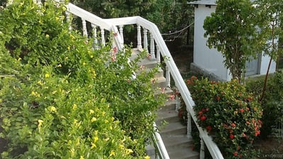 Nilaveli Palm House