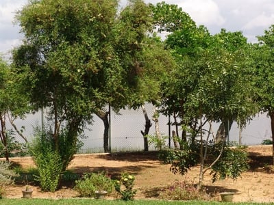 Lake View Bungalow Yala