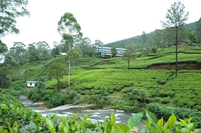 Taprospa Labookellie Villa