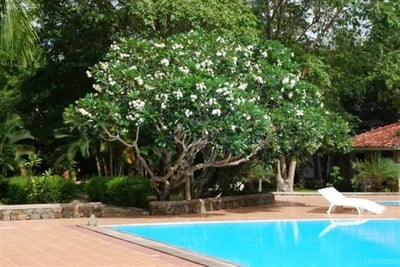 Palm Garden Village Hotel
